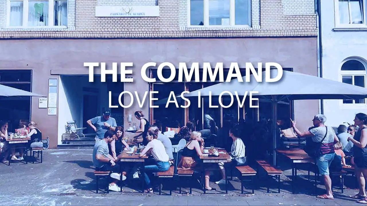 The Command - Love Life University