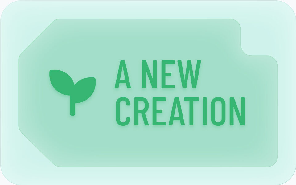 Core Class TB New Creation Love Life Church